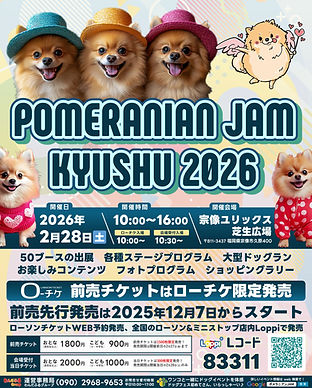 ポメラニアンJAM | わんだふる | ポメラニアン ポメラニアンJAM | わんだふる | ポメラニアン